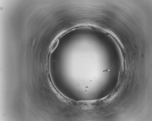 X0000060240815200510311520