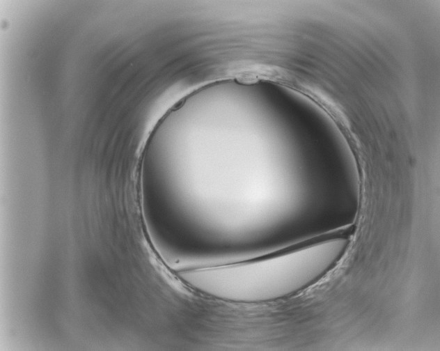 X0000060240816200510311520