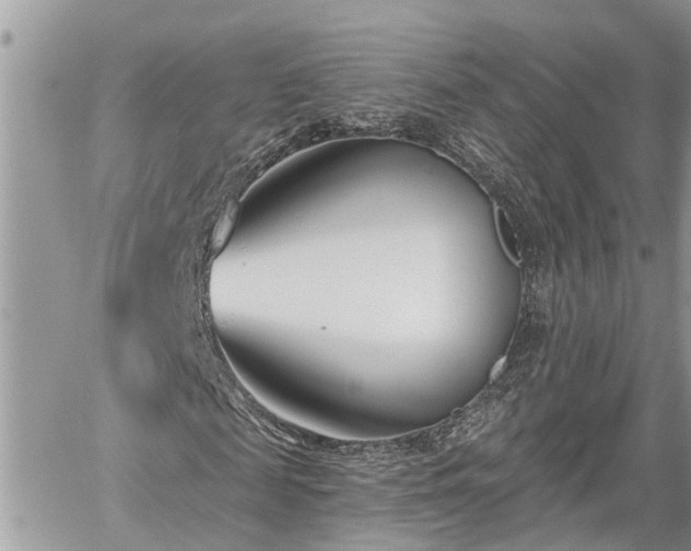 X0000060240817200510311519