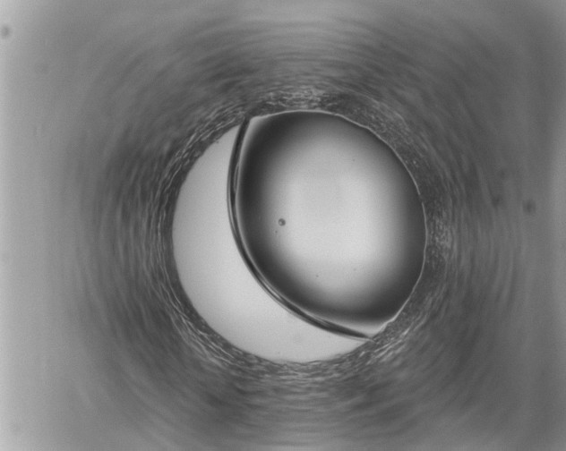 X0000060240818200510311519