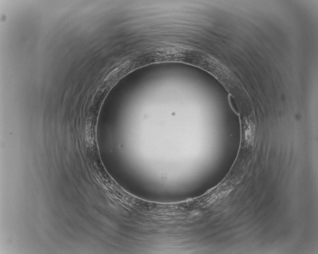 X0000060240819200510311519