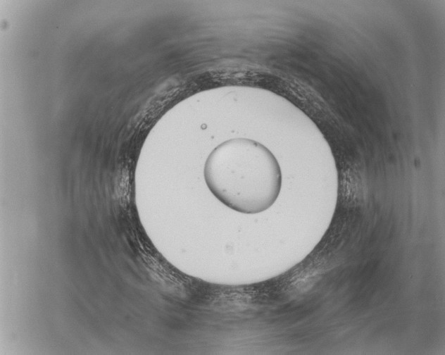 X0000060240820200510311519