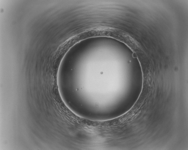 X0000060240821200510311519