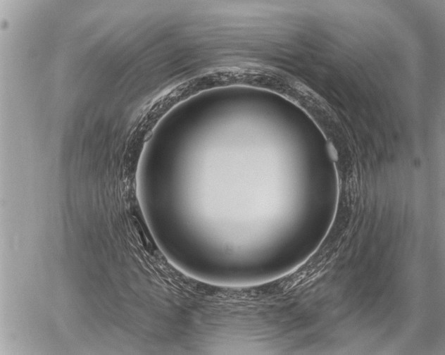 X0000060240822200510311519