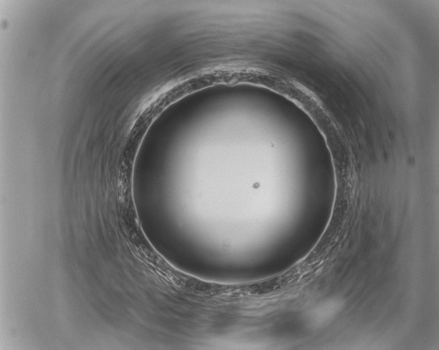 X0000060240823200510311519