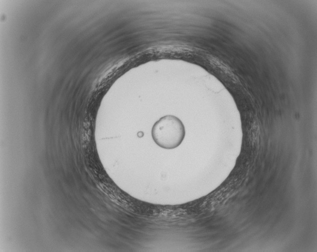 X0000060240824200510311519