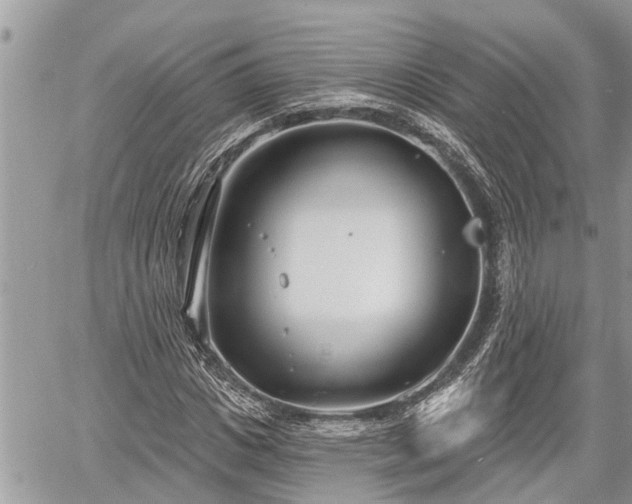 X0000060240825200510311519