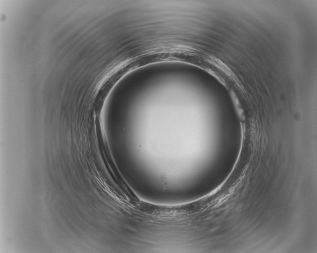 X0000060240826200510311519