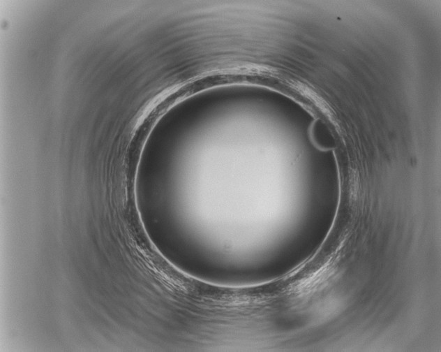 X0000060240829200510311520