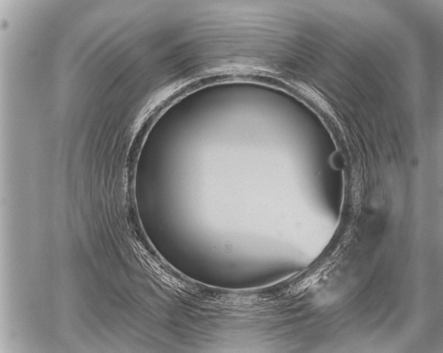 X0000060240831200510311520