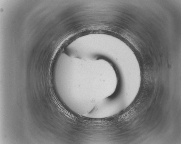 X0000060240832200510311520