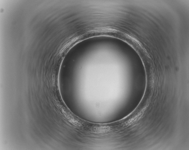 X0000060240833200510311520