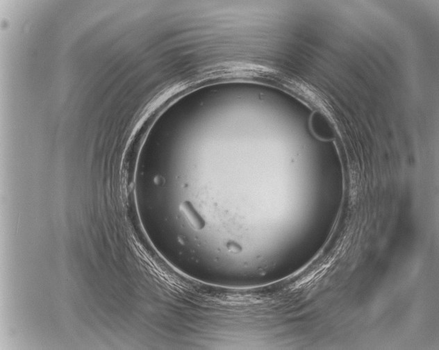 X0000060240835200510311520