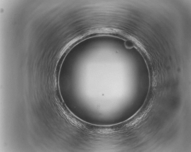 X0000060240837200510311520