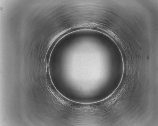 X0000060240838200510311520