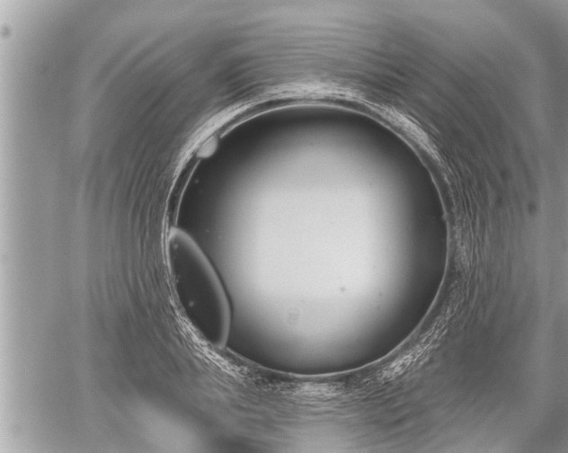 X0000060240839200510311520