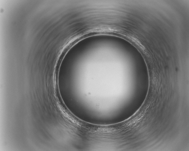 X0000060240840200510311520