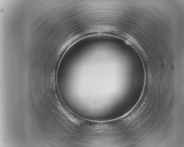 X0000060240842200510311520