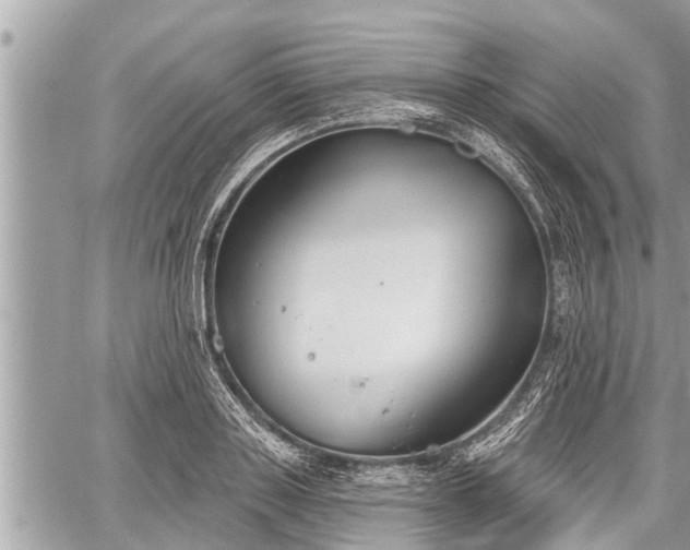 X0000060240843200510311520