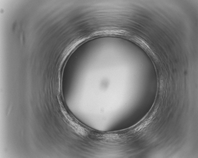 X0000060240844200510311520