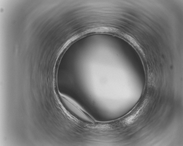 X0000060240845200510311520