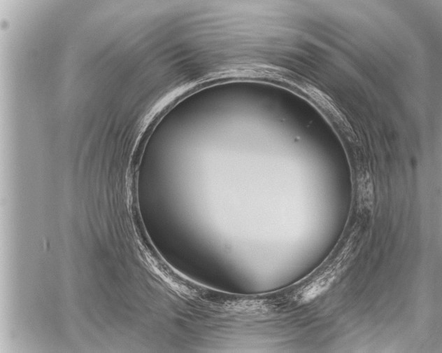 X0000060240846200510311520