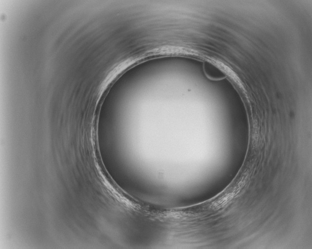 X0000060240847200510311520