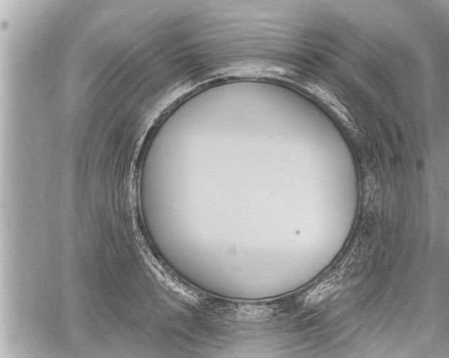 X0000060240848200510311520