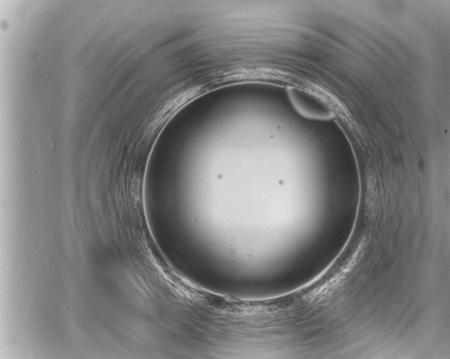 X0000060240849200510311520