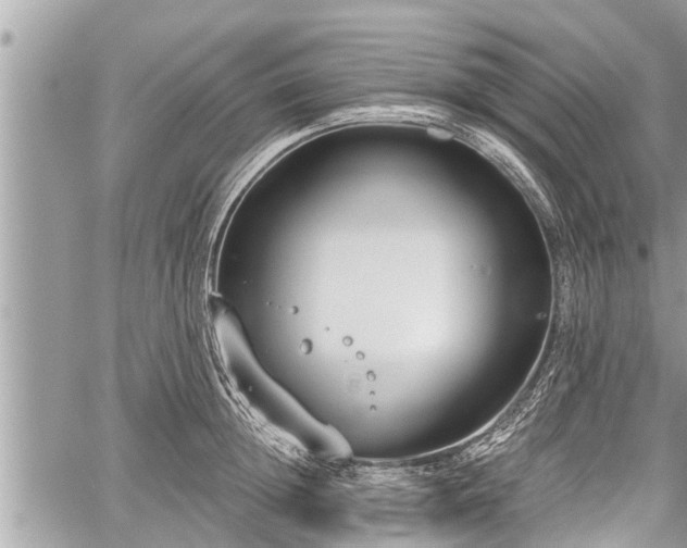 X0000060240852200510311520