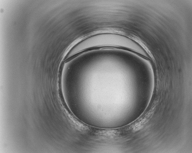 X0000060240853200510311520