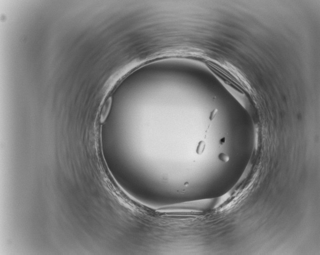 X0000060240854200510311520