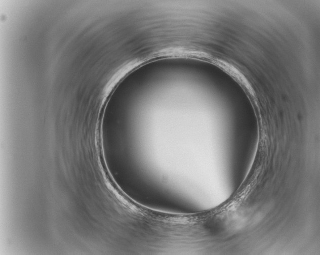 X0000060240855200510311520