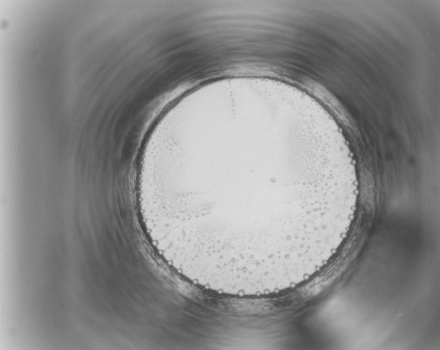 X0000060240856200510311520