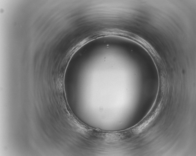 X0000060240857200510311520