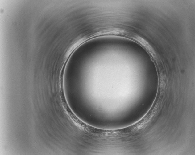 X0000060240858200510311520