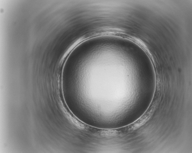 X0000060240859200510311520