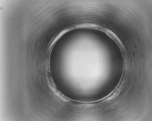 X0000060240860200510311520