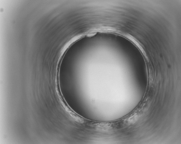 X0000060240861200510311520