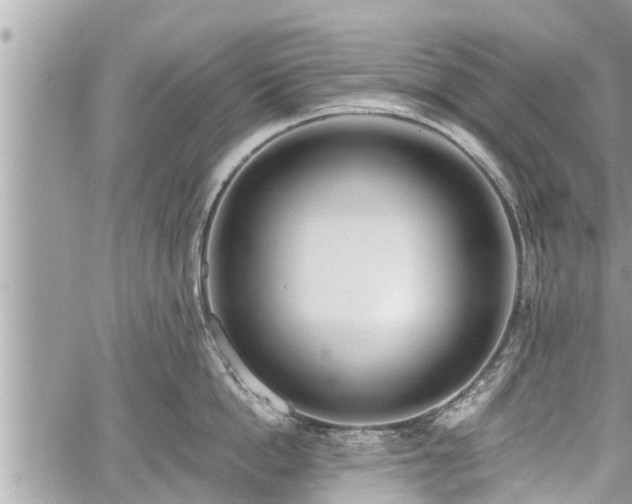 X0000060240862200510311520