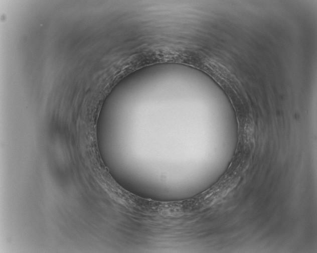 X0000060240865200510311519