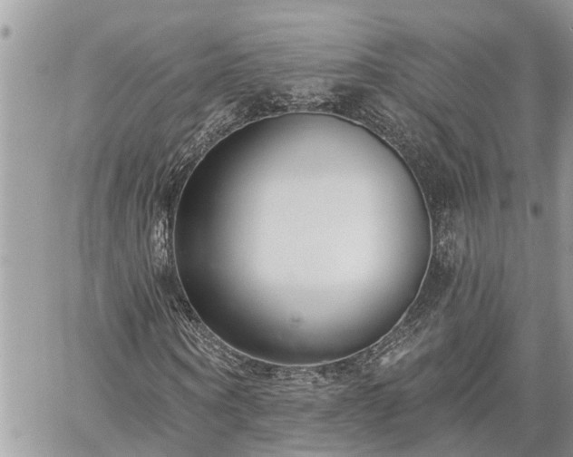 X0000060240866200510311519