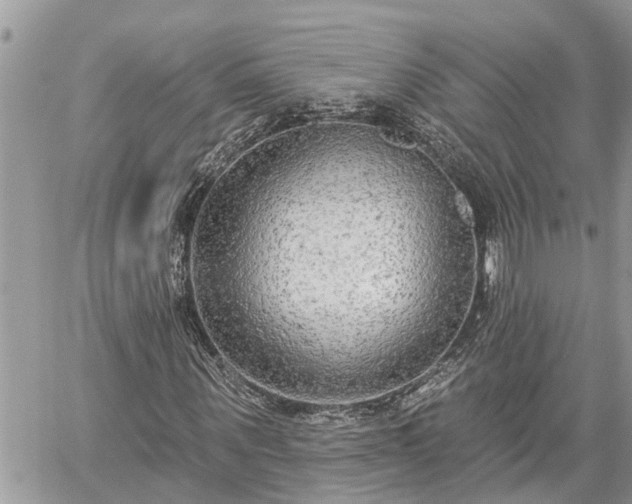 X0000060240867200510311519