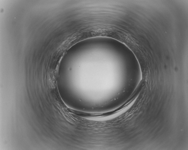 X0000060240868200510311519