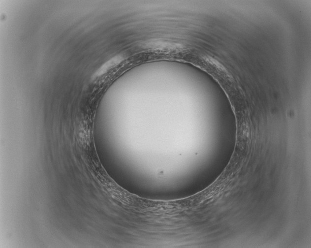 X0000060240869200510311519