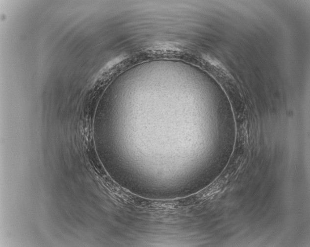 X0000060240870200510311519