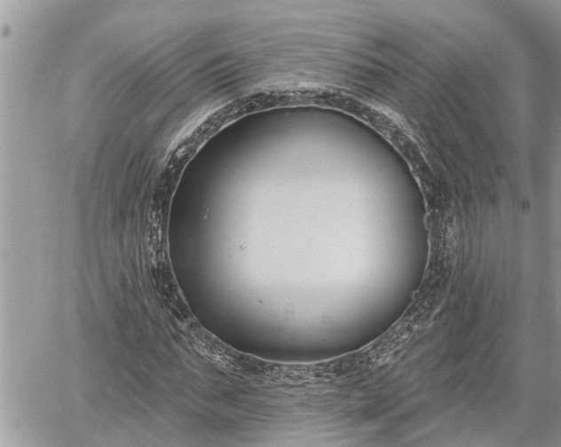 X0000060240871200510311519