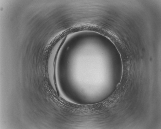 X0000060240872200510311519