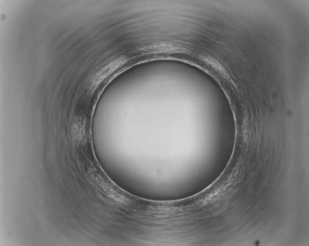 X0000060240873200510311519