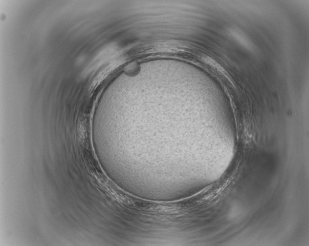 X0000060240874200510311519